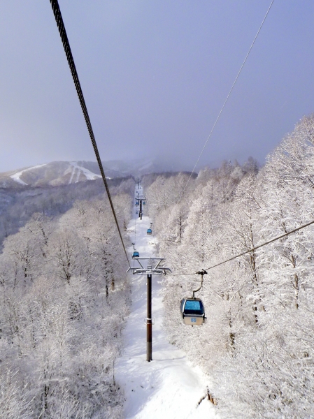 みんなの投稿詳細 朝のゴンドラから眺める景色が素敵 かぐらスキー場 新潟県のスキー場情報サイト 新潟スノーファンクラブ