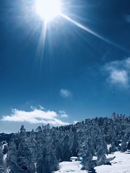 みんなの投稿詳細 静寂 かぐらスキー場 新潟県のスキー場情報サイト 新潟スノーファンクラブ